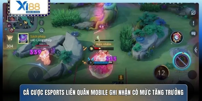Cá cược Esports Liên Quân Mobile ghi nhận có mức tăng trưởng