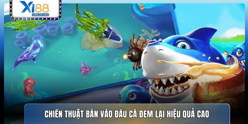 Chiến thuật bắn vào đầu cá đem lại hiệu quả cao