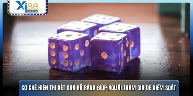 Cơ chế hiển thị kết quả rõ ràng giúp người tham gia dễ kiểm soát