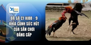 Đá Gà C1 XI88 - 9 Khía Cạnh Sức Hút Của Sân Chơi Đẳng Cấp