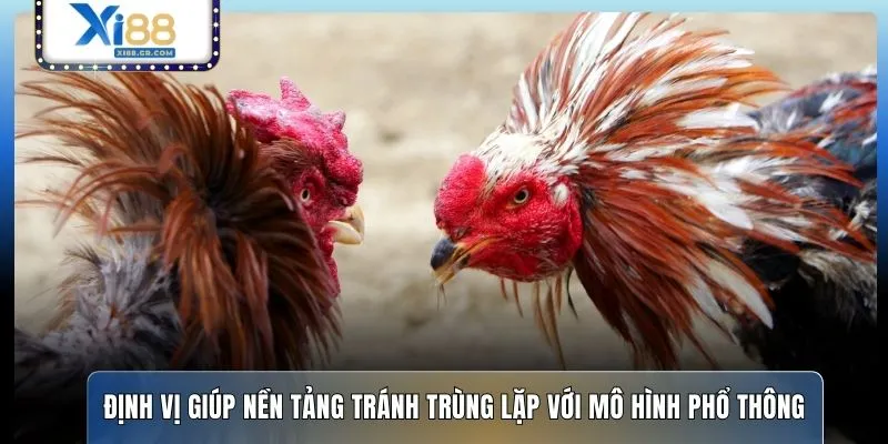 Định vị giúp nền tảng tránh trùng lặp với mô hình phổ thông