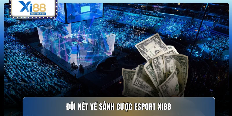 Đôi nét về sảnh cược Esport XI88