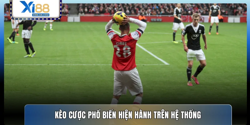 Kèo cược phổ biến hiện hành trên hệ thống
