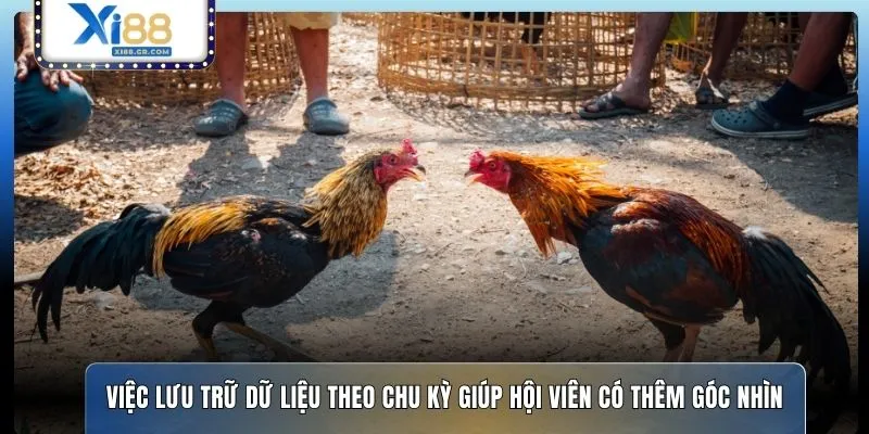 Việc lưu trữ dữ liệu theo chu kỳ giúp hội viên có thêm góc nhìn